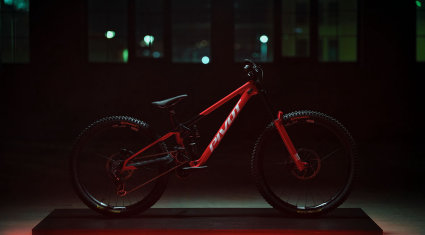 Pivot Phoenix XX DH Special Edition - cover