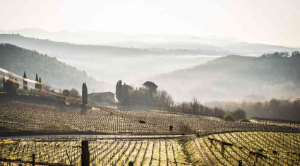 Chianti Ultra Trail by UTMB conferma il tutto esaurito con 5200 runner da 84 Paesi. Il trail running internazionale torna nel cuore della Toscana. Da oggi sino a domenica 22 marzo il Chianti Ultra Trail by UTMB® riporterà migliaia di runner sulle colline del Chianti Storico, con partenza e arrivo