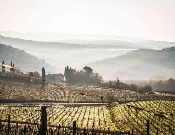 Chianti Ultra Trail by UTMB, il gotha del trail running nel Chianti