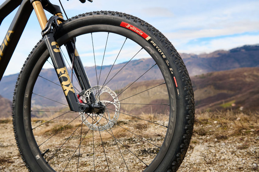 Olympia F1‑X 2026 - forcella