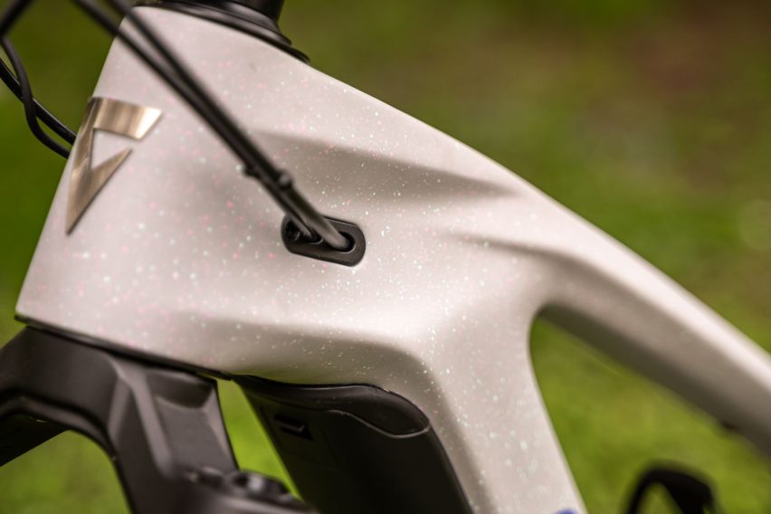 giant reign advanced e+ 2 - emtb test preview - cablaggio