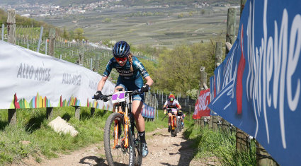 Sunshine Race 2026 - cover