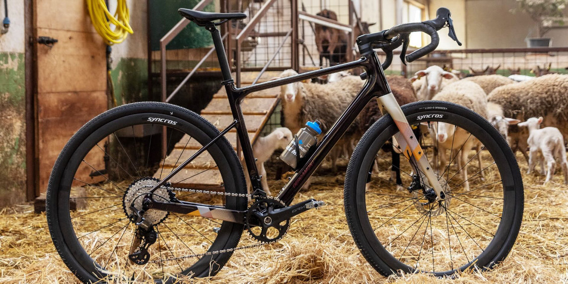 Bergamont Grandurance 10, pronta per l’avventura