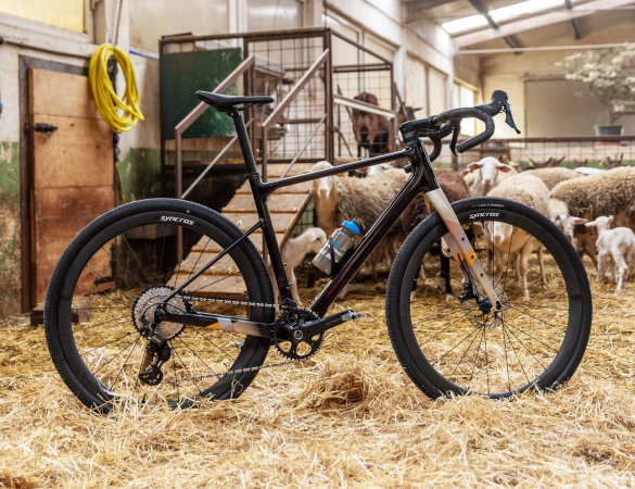 Bergamont Grandurance 10, pronta per l’avventura