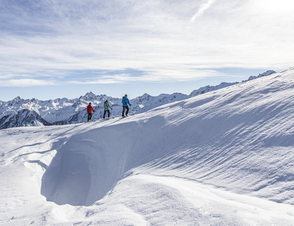 Majesty presenta SUPERPATROL CARBON