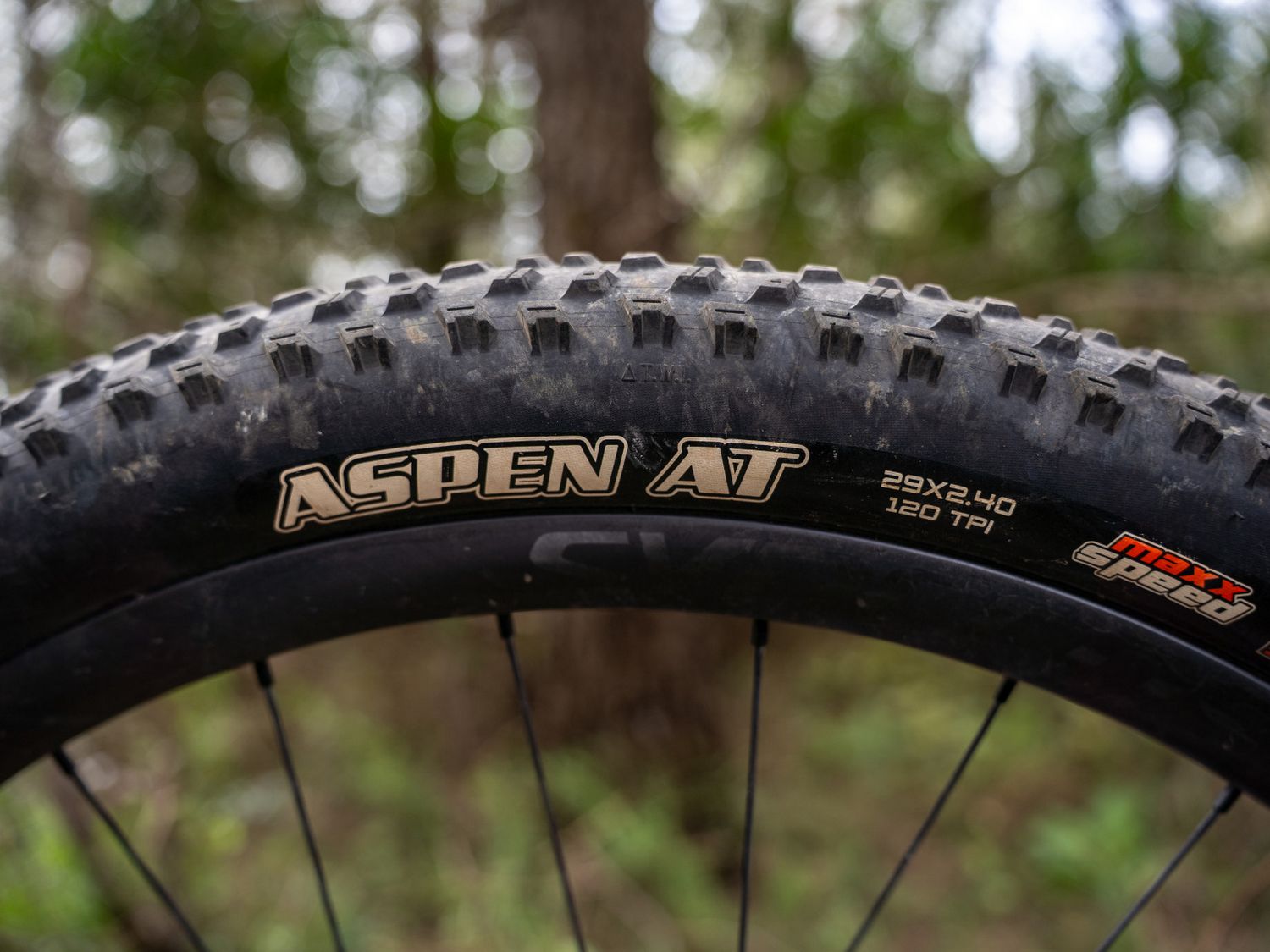 maxxis aspen at - pneumatico mtb xc - cover