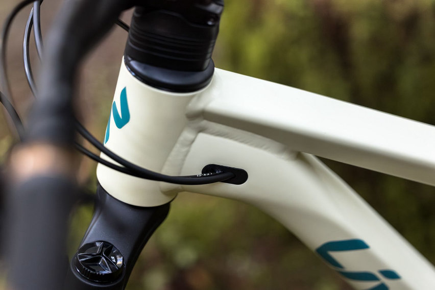 liv embolden my26 - pale moss - 01