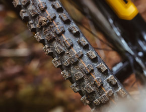 Schwalbe Romy pneumatico MTB 2026 - cover