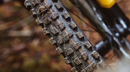 Schwalbe Romy pneumatico MTB 2026 - cover