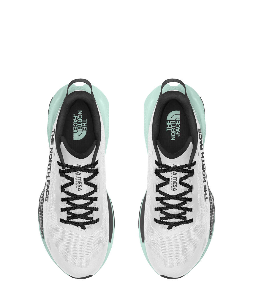 The North Face Altamesa v2