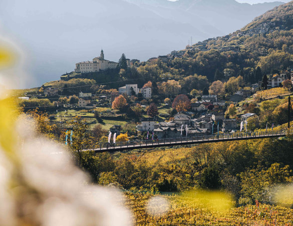 Valtellina Wine Trail – Click Day 1° maggio