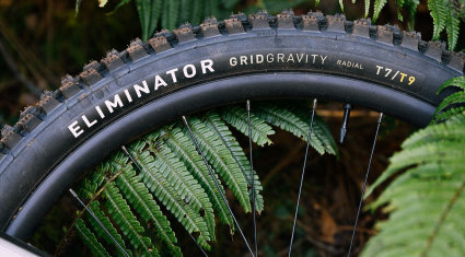 Specialized Grid Gravity Radial - cover