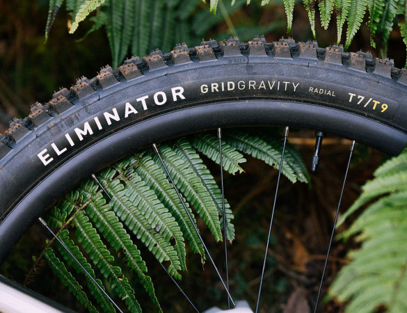 Specialized Grid Gravity Radial - cover