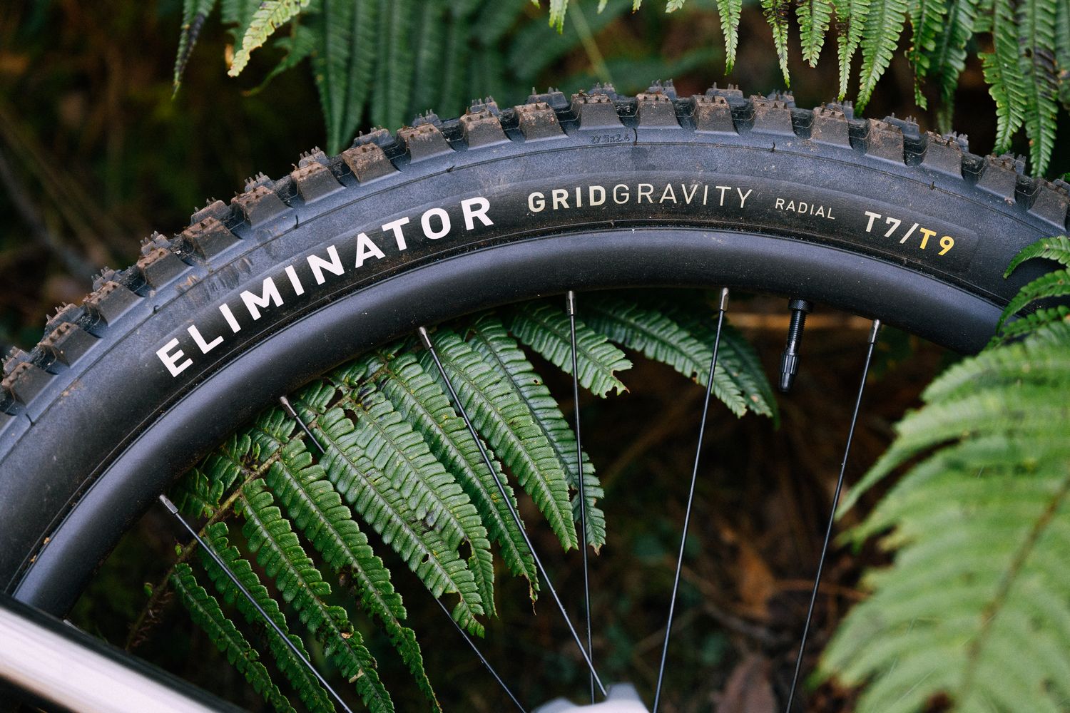 Specialized Grid Gravity Radial - cover