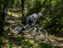 Mondraker Zendit RR S: eMTB full carbon con motore Avinox M2S - cover new