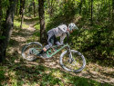 Mondraker Zendit RR S: eMTB full carbon con motore Avinox M2S - cover