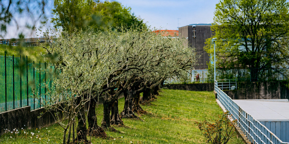 F.lli Campagnolo realizza un Parco per le Api