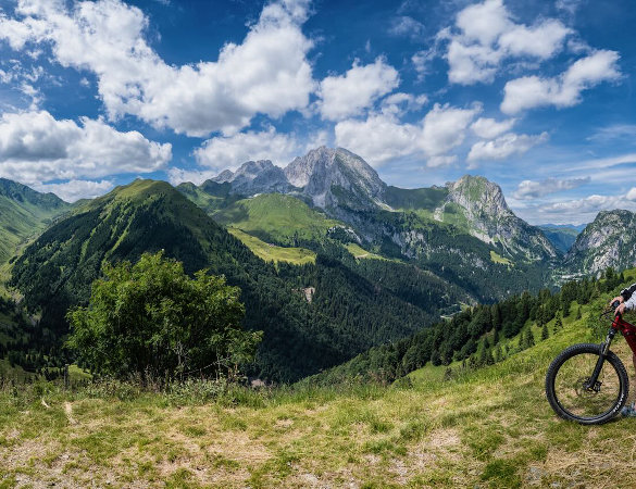 Dalle Alpi alla laguna: il Friuli Venezia Giulia da vivere in bicicletta