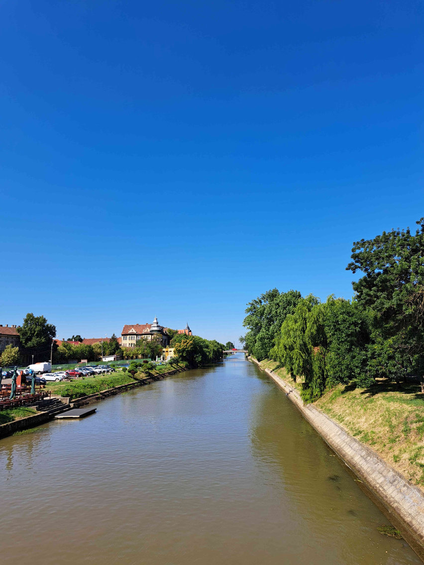 Timisoara - Romania - Pierre d'Alfonso