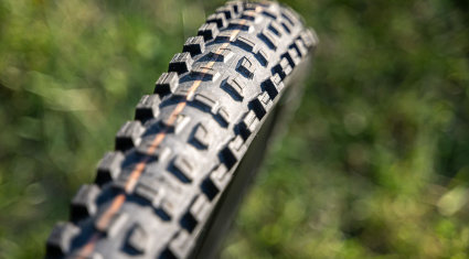 Schwalbe Romy - preview gomme mtb - cover