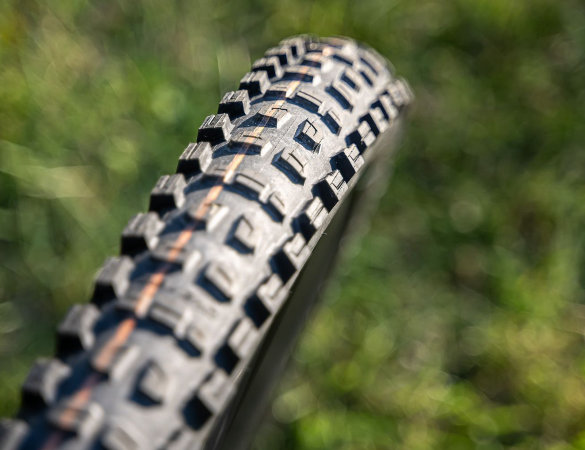 Schwalbe Romy - preview gomme mtb - cover
