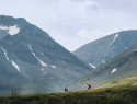 Fjällräven