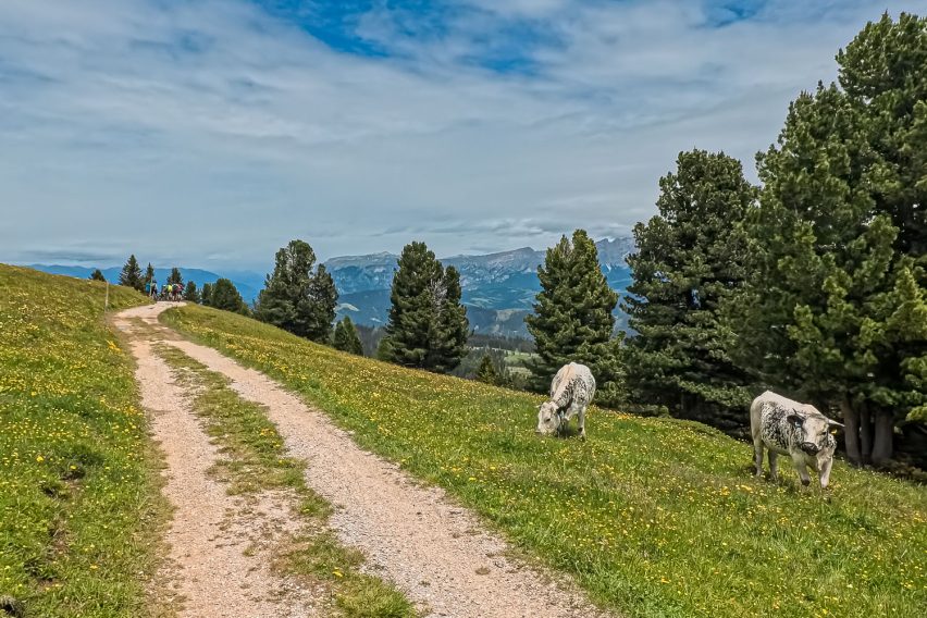 passo oclini emtb - panorama