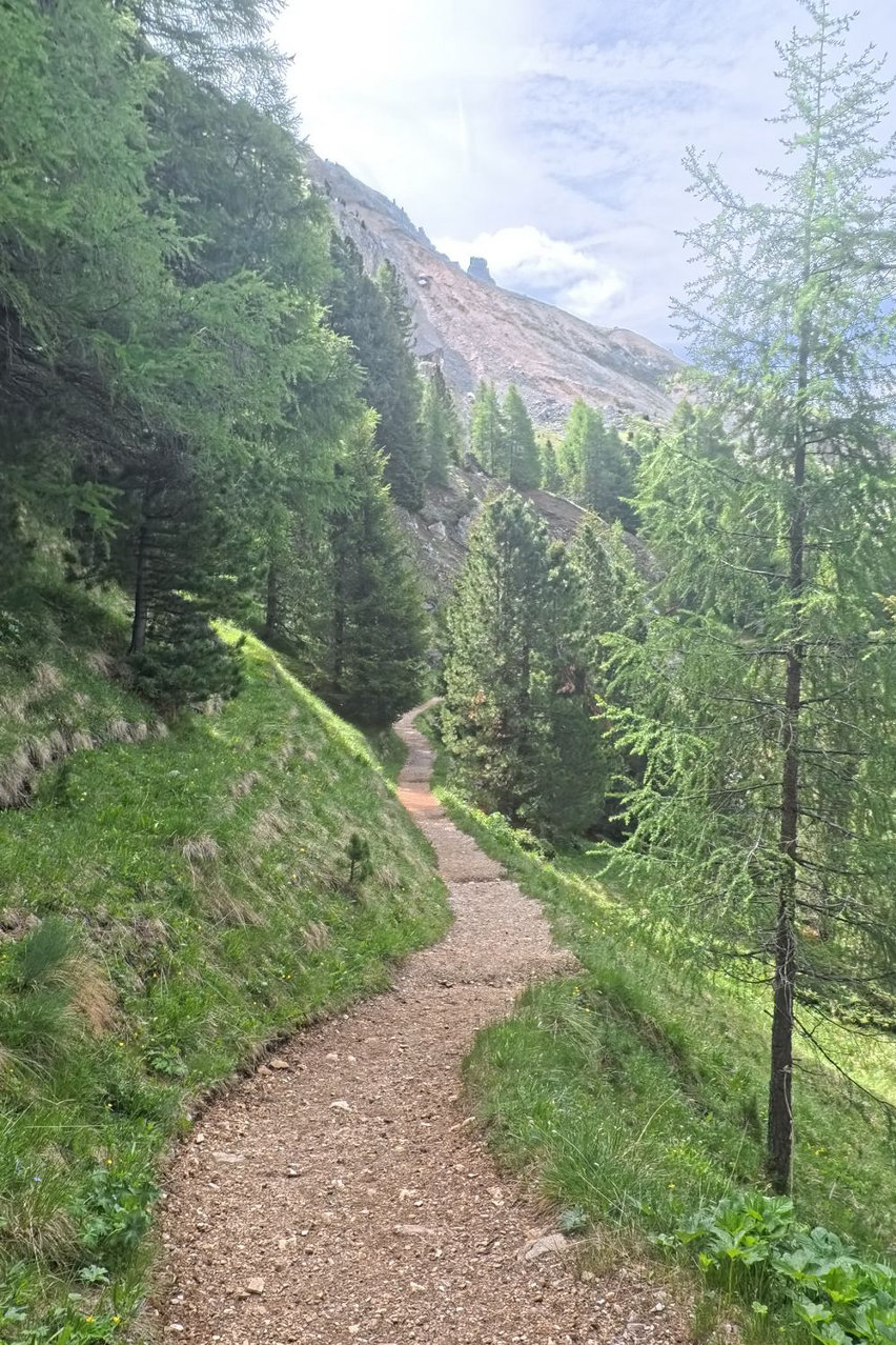 trekking Val d’Ega - Latemar.Panorama - 04