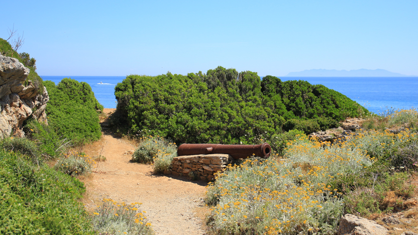 Corsica Wild: alla scoperta del Sentiero dei Doganieri, tra mare da sogno e vette selvagge