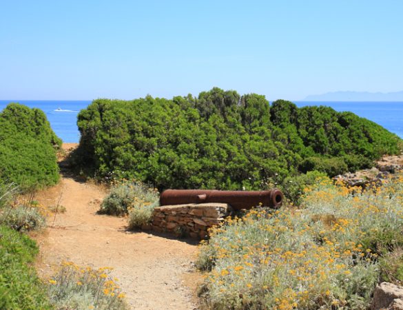 Corsica Wild: Discovering the Customs Officers’ Path, between dreamy seas and wild peaks