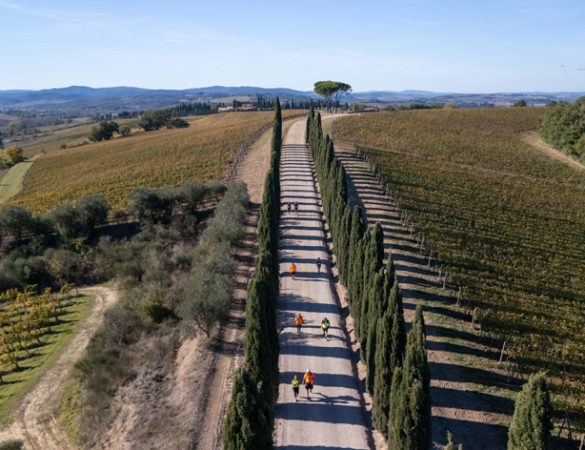 Ten years of steps, encounters, and territories: the Walking Francigena Ultramarathon 2026 returns.
