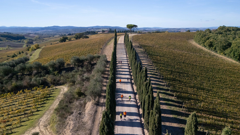Ten years of steps, encounters, and territories: the Walking Francigena Ultramarathon 2026 returns.