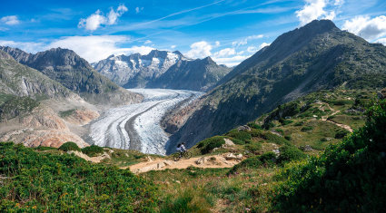 experience mtb vallese - aletsch arena - moosfluh trail - cover