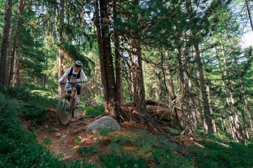 guida MTB sentieri estivi - radici