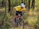 fox flexair ss jersey - test review - cover
