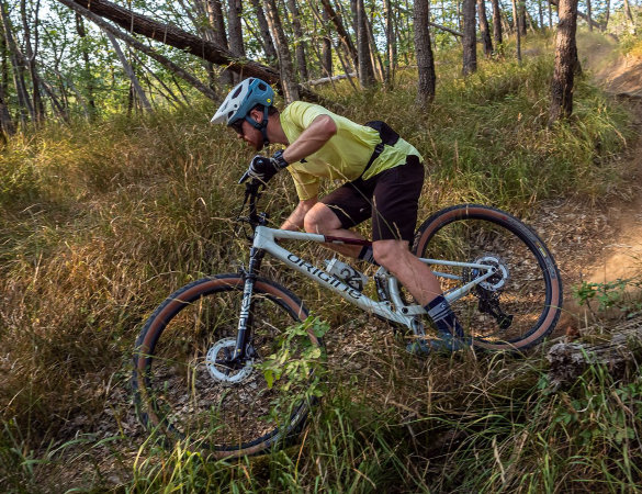 Origine Théorème TR - MTB test review - action 04