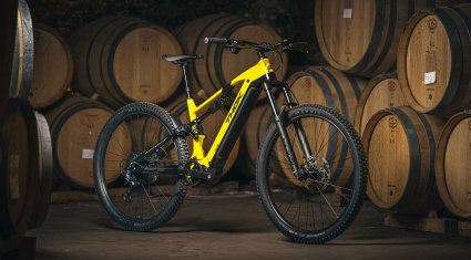 thok all.one - emtb short test - cover