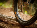 continental gravity - pneumatici mtb - cover