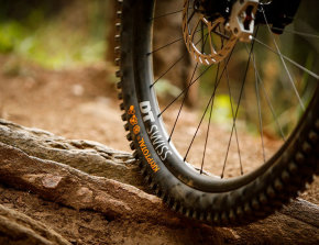continental gravity - pneumatici mtb - cover