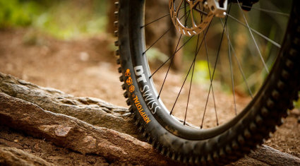 continental gravity - pneumatici mtb - cover