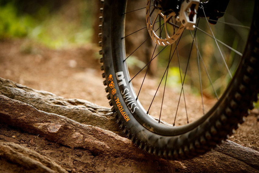 continental gravity - pneumatici mtb - cover
