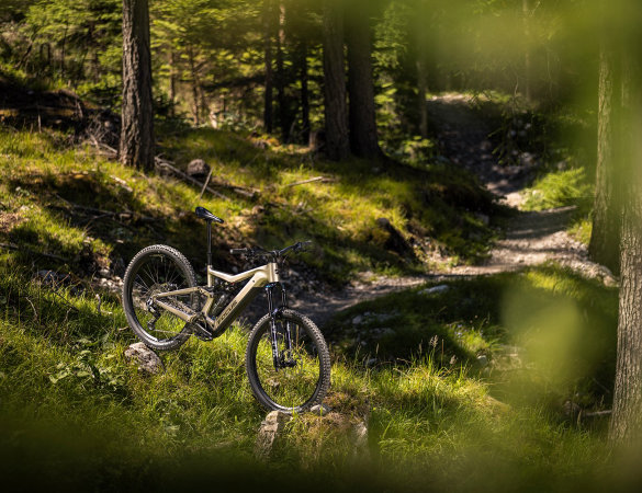 Focus Bikes MY27: nomi semplificati e telai aggiornati