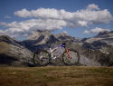 wilier urta ultimate - cover