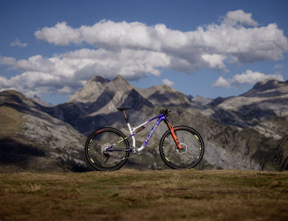 wilier urta ultimate - cover