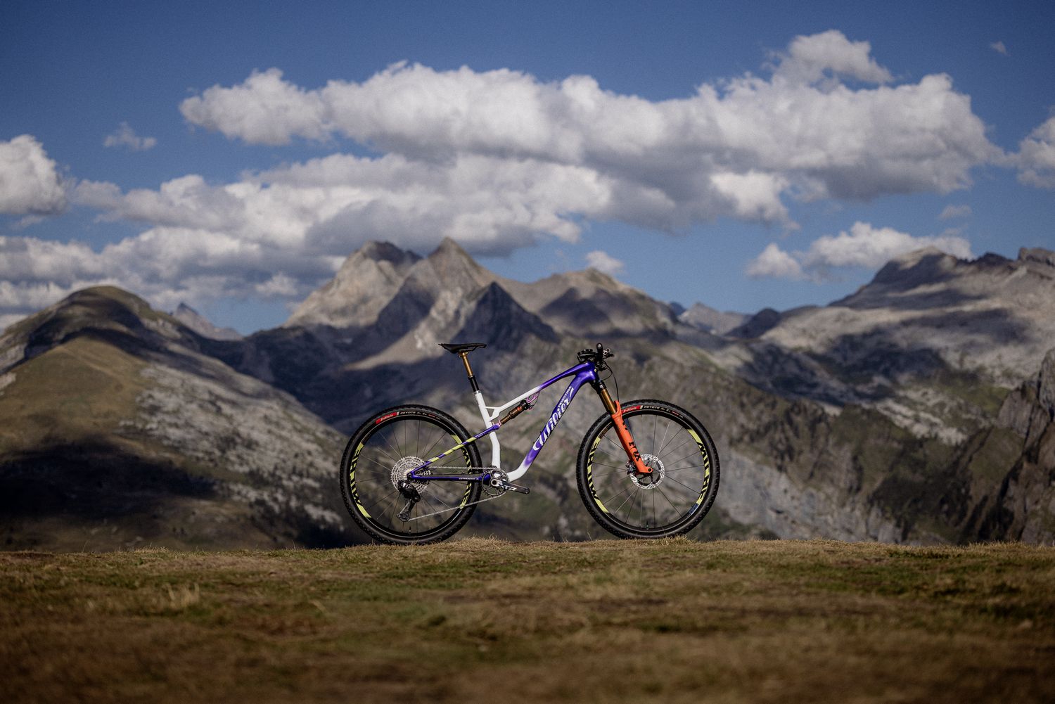 wilier urta ultimate - cover
