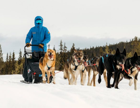 Fjällräven Polar 2027: applications open for the Arctic expedition