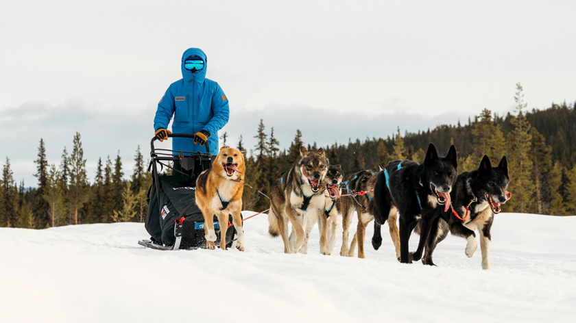 Fjällräven Polar 2027: applications open for the Arctic expedition