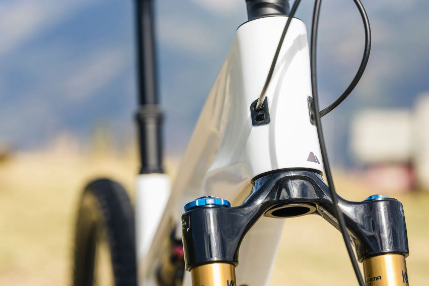 canyon spectral:on cf 9 con avinox m2s - tubo sterzo