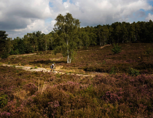 MTB in città - Belgio