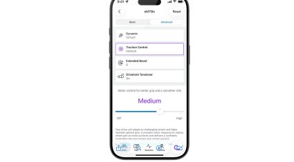 Bosch Flow App 1.38 - traction control